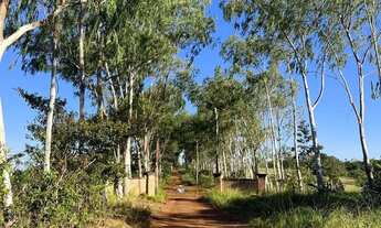 Imagem 3: Área rural em Chapada dos Guimareas à venda
