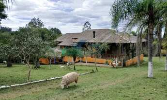 Imagem: Velleda oferece Sítio de Alto Padrão de