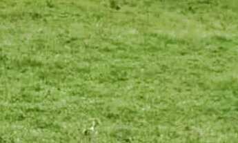 Imagem 3: Imóvel para venda tem 20000 metros quadrados em Registro - Taubaté - SP