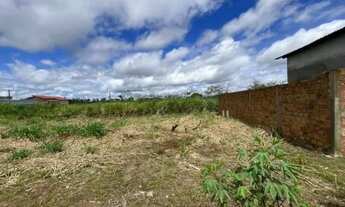 Imagem 3: Vendo Lote 12 x 30 quitado com 360 m² Park Amazônia - Rorainópolis/ murado nos fundos