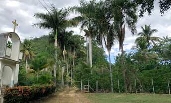 Imagem 2: Sítio em Boa Conserva próximo a Burarama