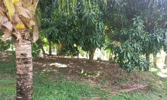 Imagem 6: ALUGO - CASA COM LAGO 500M² AMARELOS GUARAPARI