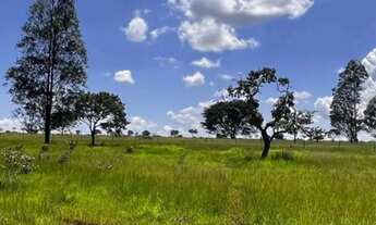 Imagem: Excelente sítio próximo Uberlândia 37,62