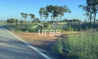 Imagem 4: Fazenda dupla aptidão - Bom Jardim de Goiás