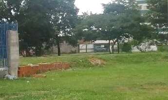 Imagem 3: Lote comercial na avenida Samambaia sul