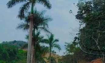 Imagem 3: Fazenda São Vicente Urucânia MG