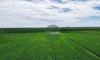 Imagem 7: Fazenda à venda, m² por R$ 105.000.000,00 - Zona Rural - Bonfim/RR