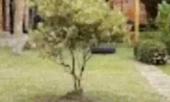 Imagem 3: Sítio 5.000m²: Seu paraíso te espera!