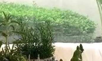 Imagem 6: Casa à venda e para alugar em Santana de Parnaíba, Alphaville, com 4 suítes, com 382 m²