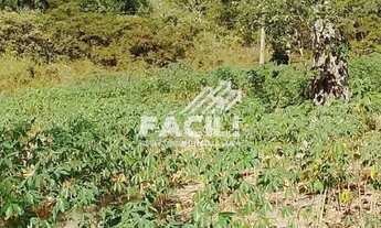 Imagem 4: Vende-se Chácara de 7 Hectares à 25 Km de Palmas, sentido Lajeado