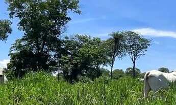 Imagem 3: Fazenda próxima de Cuiabá oportunidade coisa de patrão