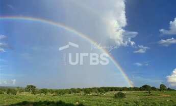 Imagem 2: Fazenda dupla aptidão - Bom Jardim de Goiás