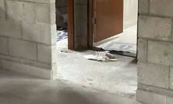 Imagem 2: Casa perto de pium