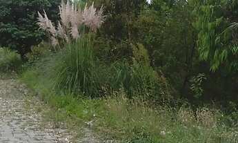 Imagem 2: Terreno Desvio Rizzo Caxias do Sul