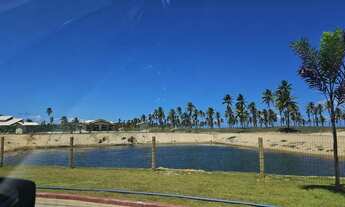 Imagem 2: Excelente lote de esquina - Mares do Malui - RAINHA DOS LOTES