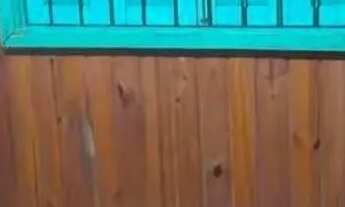 Imagem 4: Casa com 3 Quarto(s) e 1 banheiro(s) para Alugar, 80 m² por R$ 1200 / Mês