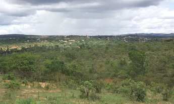 Imagem: Terreno de 5ha, com luz e água encanada