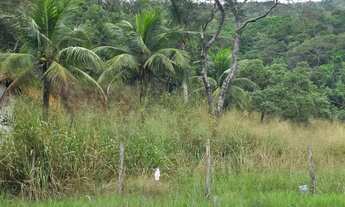 Imagem: Imóvel para venda com 500 metros quadrados