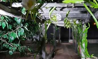 Imagem 3: Chácara em condomínio em Rodovia Elzio Mariotoni - Jardim Europa - Mogi Mirim/SP