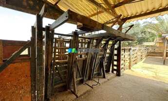 Imagem 7: FAZENDA À VENDA - 827 HECTARES - ABAETÉ (MG