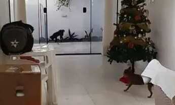 Imagem 2: Excelente casa em Tambauzinho (122 m²,3/4, térreo com área externa, Residencial Huios