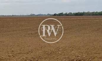 Imagem: Fazenda à Venda em Goiás 201 Alqueires