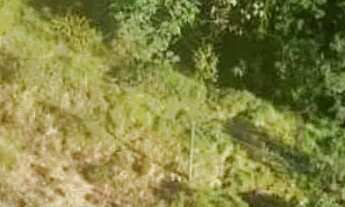 Imagem 2: Lote em Descansópolis - Descansópolis - Campos do Jordão/SP