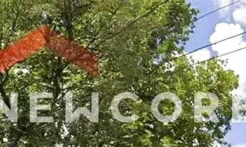 Imagem 4: Casa em Rua Doutor José Maria Whitaker - Vila Sônia - São Paulo/SP