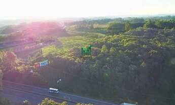 Imagem: Área comercial entre Caxias do sul e Farroupilha