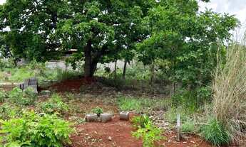 Imagem: Lote à Venda - Bairro Bela Vista