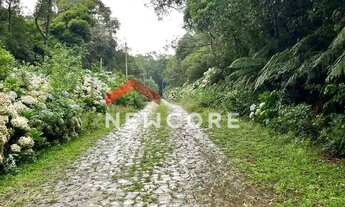 Imagem 4: Lote em Rua 21 - Alpes - São Francisco de Paula/RS