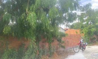 Imagem 7: Terreno Sítio Santo Antônio Sucatinga