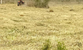 Imagem 4: Chácaras 1000 metros em Jacutinga