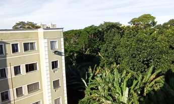 Imagem 2: Apartamento por 120 mil Jardim Limoeiro!!