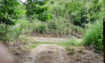 Imagem 2: Chácaras no Horto Baratinha