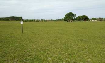 Imagem 4: Sítio à venda, 1250 m² por R$ 39.999,99 - Canta Galo - Alcobaça/BA