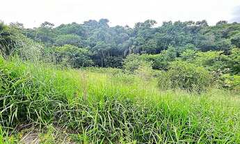 Imagem 3: Ref.: 9025 - Lote ou Terreno - Parque do Império