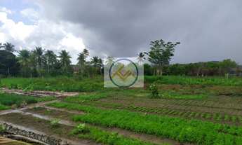 Imagem 2: Chácara à venda com 2,4 ha, Estância/SE