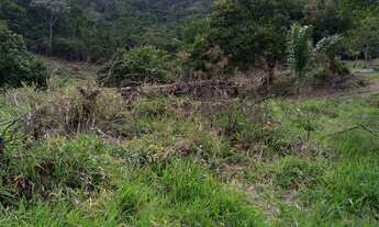 Imagem 5: Terra Fazenda / sítio com venda por R$16.000