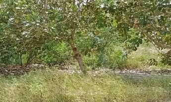 Imagem 7: Fazenda a venda Fazenda / sítio com venda por R$550.000