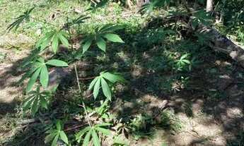 Imagem 4: Chácara São Miguel de passa quatro