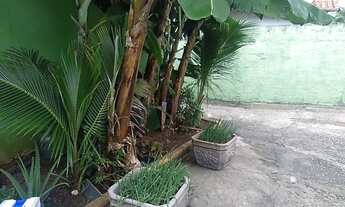 Imagem 5: LINDA CASA DE 03 QUARTOS, SUITE, QUINTAL, AREA GOURMET, GARAGEM PARA VARIOS CARROS. LOCALI