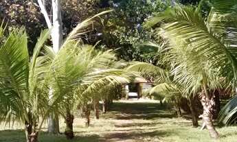 Imagem 6: Chácara de 10 hectares com Casa Sede de 350m² à Venda na BR 343 sentido Altos-PI