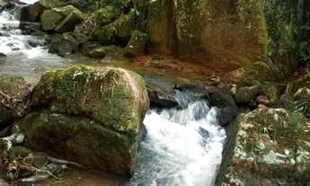 Imagem: Belíssimo sítio em Palhoça