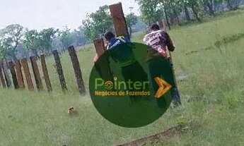 Imagem 7: Fazenda à venda, m² por R$ 100.000.000 - Zona Rural - Luciara/MT