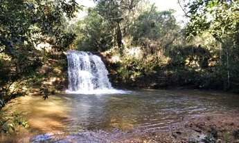 Imagem: Fazendas de 3 Hectares com cachoeiras, nascentes