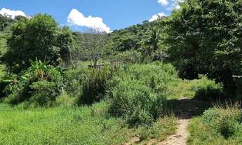 Imagem 7: FAZENDA A VENDA JOANESIA
