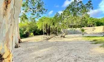 Imagem 3: Chácara em barreirinhas