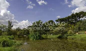 Imagem 6: Chácara São Francisco (Araucária/Campo Largo), com 25.000m2