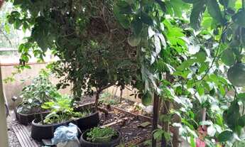 Imagem 4: SOBRADO - QUISSISSANA